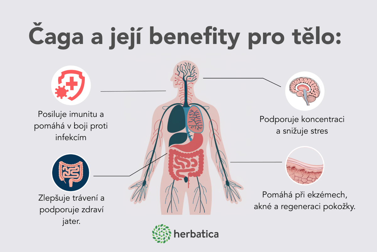caga a jeji benefity CZ infografika